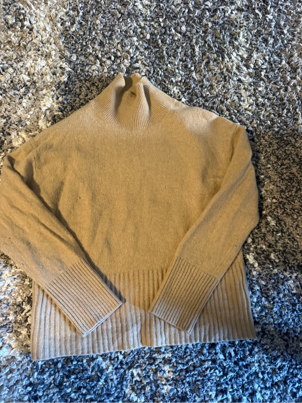 Everlane Camel Turtleneck Sweater
